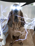 Lightning Dog Productions