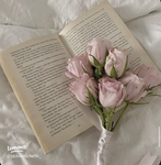 diaries ୨୧