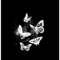 ︶꒦꒷🦋꒷꒦︶