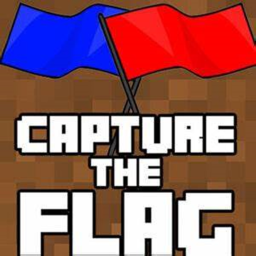 Capture the Flag 🚩(Beta)
