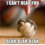 HamstersTeam
