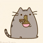 Cat club 391