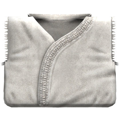 💥 Ryu's White Karate Gi