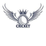 Offical Roblox Cricket League