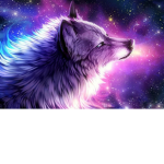Wolf Galaxy-Studios