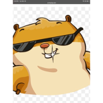 GERBILS ########