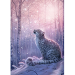 Forest paw’s