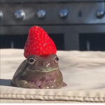 froggy_vibes