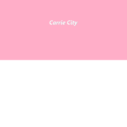 Carrie City School Combat