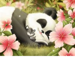 The Best Panda Squad