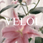 veloi