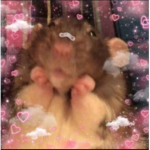 ~Rᴀᴛs ʀᴇᴜɴɪᴛᴇᴅ~