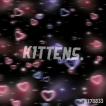 K1TTENS.