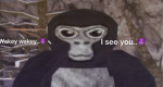 Pixilation