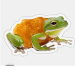 Toad nugget revolution!!!
