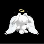 ~ ben's angels ~