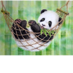 Groep pandy