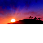 Sunset Sarah's Squad