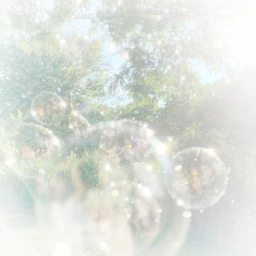 ✿