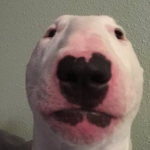 anime4_Roblox