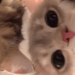 ꯁ4차원 예은 .ᐟ.ᐟꯁ