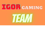 Igor Gaming Team