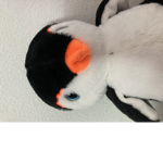 Penguins123