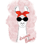 Drama Llamas’