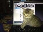 swlushiies