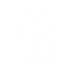Nexorian Mafia