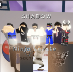 Shadow Ninja Karate Dojo!