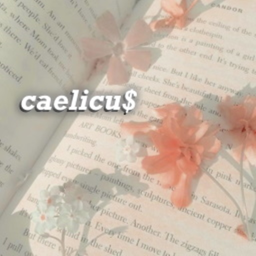 caelicu$ homestore v1