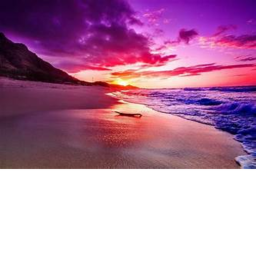 Beach World!