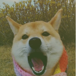 UPDATE]WE WILL BECOME THE BEST AND BETTER DOGE!!!