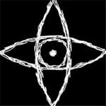 Tribe Twelve