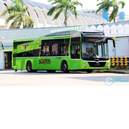 SMRT train with buses