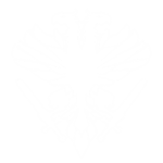 Fireteam Nine
