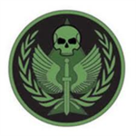 royal gaurds of U.S.A.