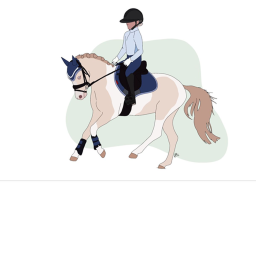 + MHA + Maryland Horse Academy
