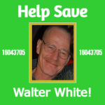 Save Walter
