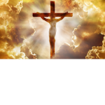 Fanaticos de Cristo Rey