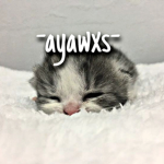 -ayawxs-