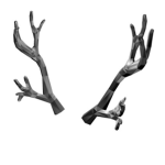 Silverthorn Antler