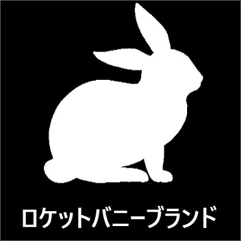 Rocket Bunny Hangout