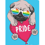 Pugs clothings