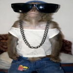 STONZERSZ CLUB