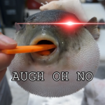 AUGH OH NO