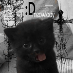 meowlody clothes