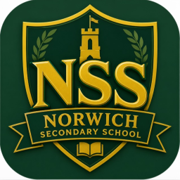 Norwhich Secondary School Academy