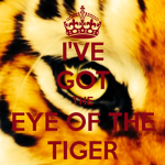the eye of the tiger